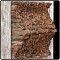 Drewniana tablica (2002) - materiał: kora, drewno sosnowe patynowane, wymiary: 105 x 105 x 20 cm